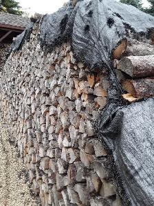 LAC DU BONNET Tamarack Firewood Lady