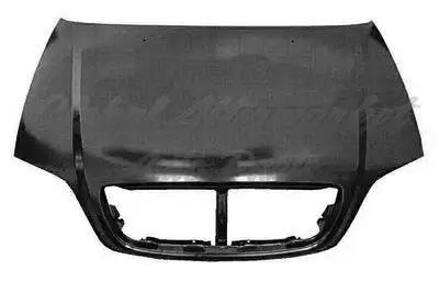 Kia Sedona 2003-2005 Hood