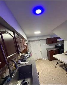 Large Basement Room for rent in Scarborough