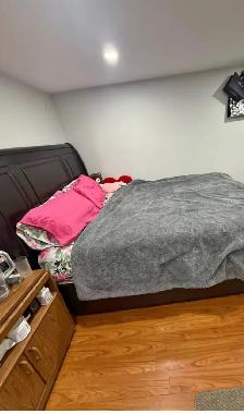 Large Basement Room for rent in Scarborough - Photo 4