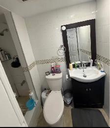 Large Basement Room for rent in Scarborough - Photo 5