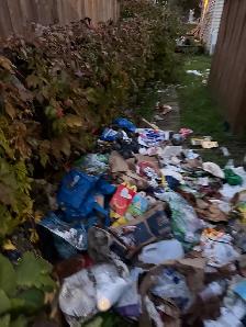 Affordable garbage hauling Services - Photo 2