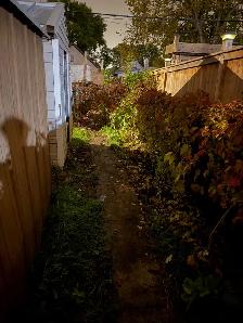 Affordable garbage hauling Services - Photo 5