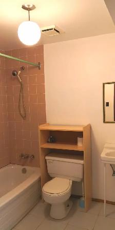 1 ROOM FOR RENT SHARE WITH FEMALE PROFESSIONAL. UTILITIES INCLUD - Photo 5