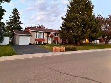 Newly renovated basement unit for rent
