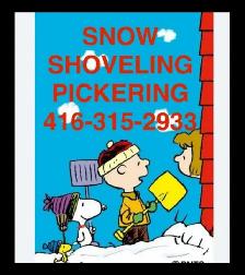 SNOW DRIVEWAY PICKERING SNOWBLOWER SHOVEL