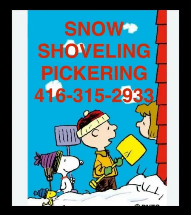 SNOWBLOWER DRIVEWAY PICKERING SHOV