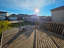 1 Bed Bsmt walking distance to Saddletowne Circle and Train Stn