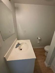 1 Bed Bsmt walking distance to Saddletowne Circle and Train Stn - Photo 12