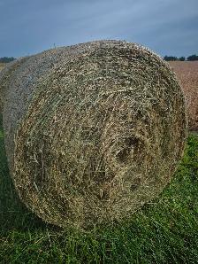 Round Bales of Hay No Rain - Photo 2