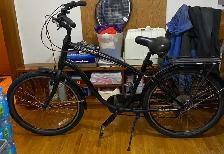Hybrid Bike 'Giant Suede' Branded - Photo 5