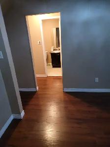 3 BEDROOM BASEMENT IN BRAMPTON - Photo 2