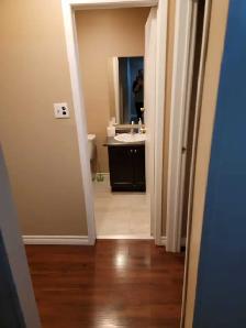 3 BEDROOM BASEMENT IN BRAMPTON - Photo 10