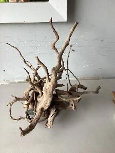 mounted driftwood art
