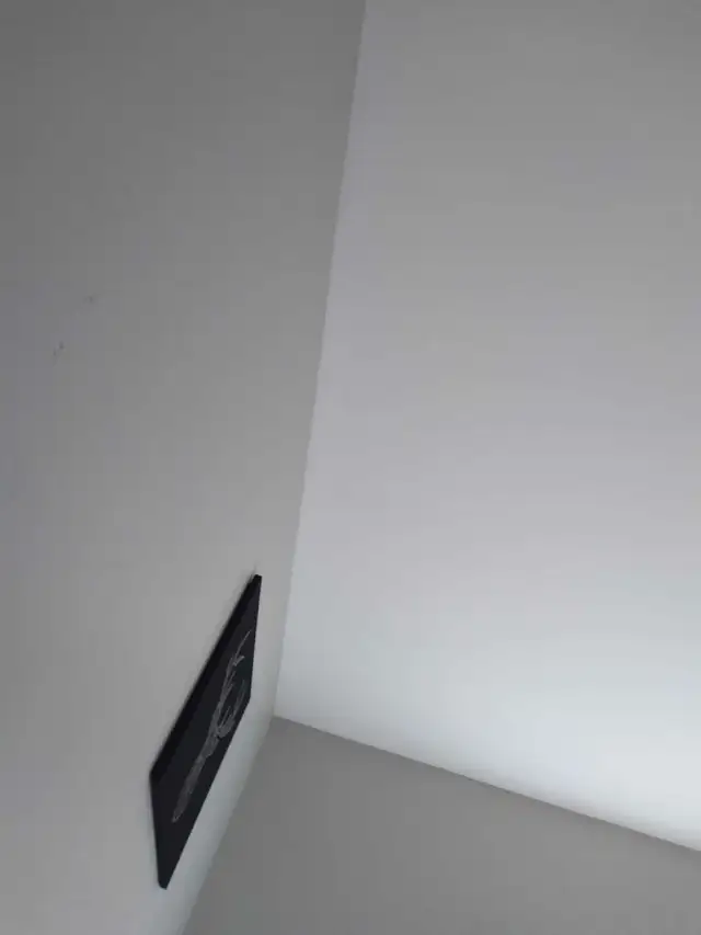 looking for cash job paid daily