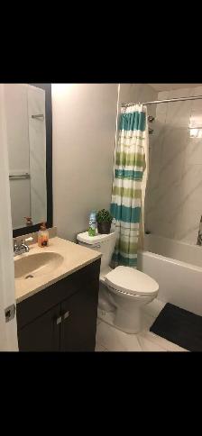Room for Rent: Quiet, Clean, Mckernan Area - Photo 4