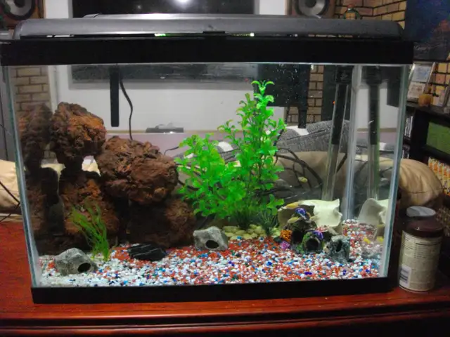 aquarium 24x 18x 12 with top gravel heater filter and all decor