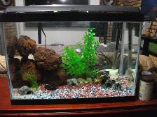 aquarium 24x 18x 12 with top gravel heater filter and all decor