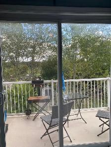 Spacieux 4 1/2, libre $1450/mois  secteur parc labaie Gatineau - Photo 3