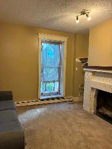 Street level one bedroom West Hill - Photo 7