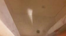 1 Bedroom basement Apartment North York utilities, parking Inclu - Photo 5