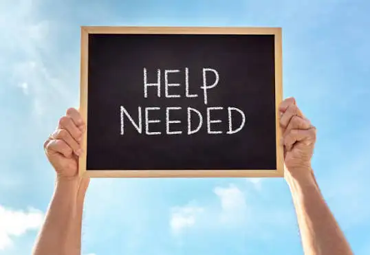 Do You Have a Small SUV or Minivan and Want to Make a Quick $50
