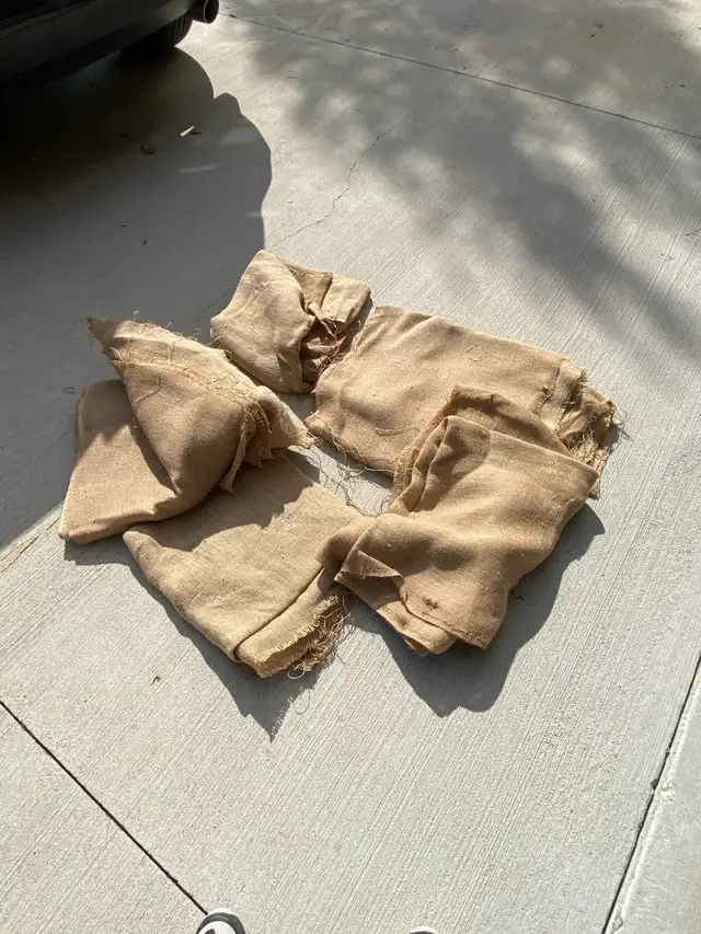 BURLAP - for shrub protection