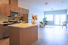 Luxury 2 Bedroom Main Floor Apartment- Guelph, 7 Stevenson - Photo 4