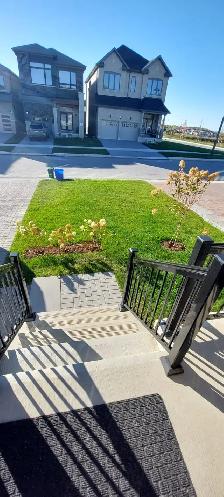 2 BR Basement Apartment - For Rent - Oshawa North - Photo 10