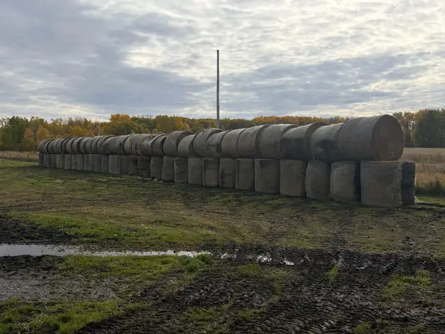 Hay Bales