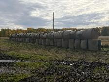 Hay Bales