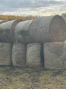 Hay Bales - Photo 2