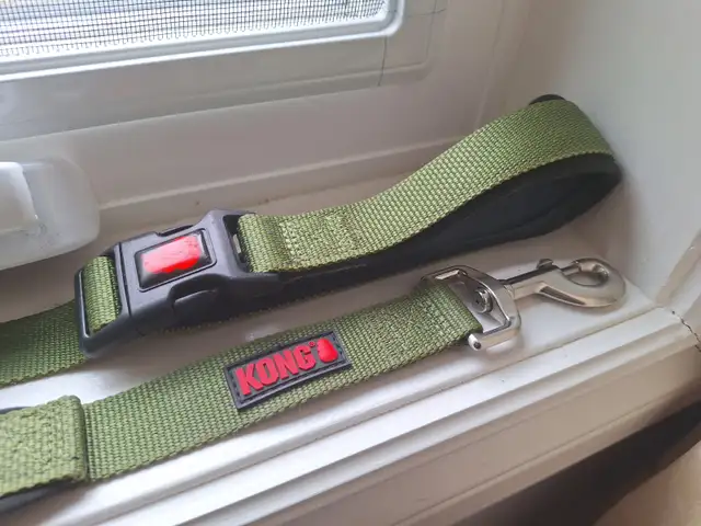 Kong Green Dog Leash - 6 Foot - New