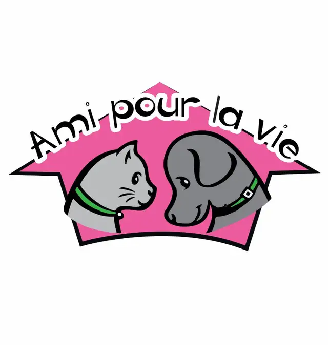 Pension chats, petits animaux,  éducation canin, toilettage TCAP