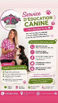 Pension chats, petits animaux,  éducation canin, toilettage TCAP - Photo 10