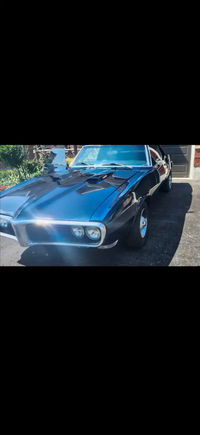 Firebird