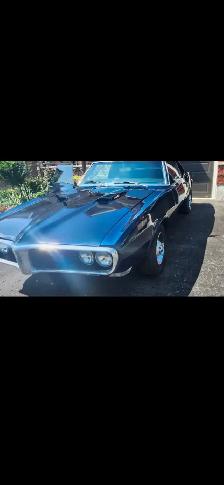 Firebird