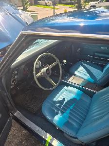 Firebird - Photo 5