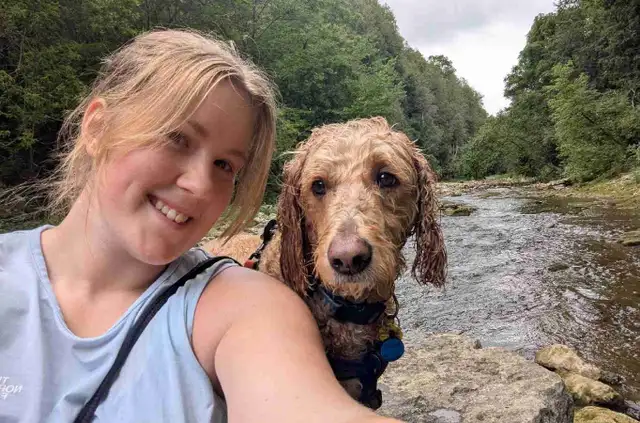Dog Walking/sitting services KW