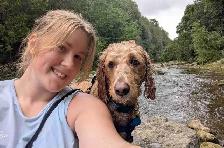 Dog Walking/sitting services KW