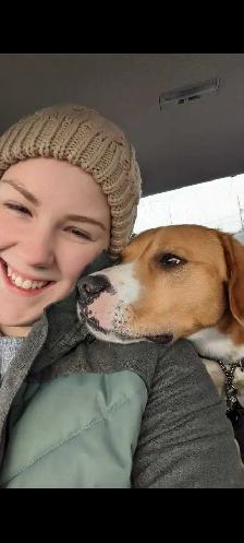 Dog Walking/sitting services KW - Photo 4