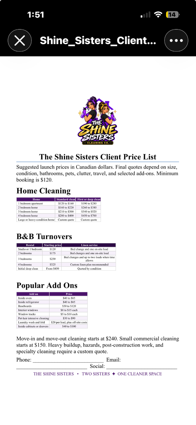 ShineSisters cleaning
