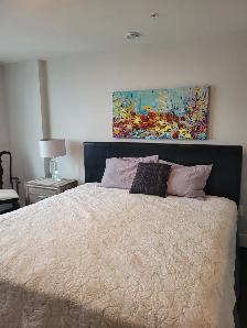 PENTHOUSE 2BDRM2 BATH MONTHLY FURNISHED - Photo 6