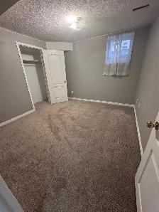 2 Bedroom Basement Apartment for Rent – Mississauga - Photo 3