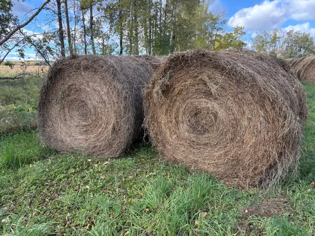 2026 Alfalfa Grass Mix Round Bales