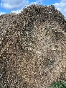 2026 Alfalfa Grass Mix Round Bales - Photo 2