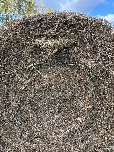 2026 Alfalfa Grass Mix Round Bales - Photo 3