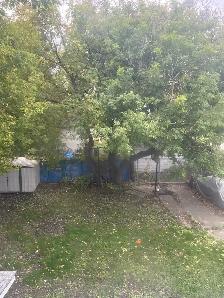 3 bedrooms side by side Duplex for rent in the North end - Photo 9