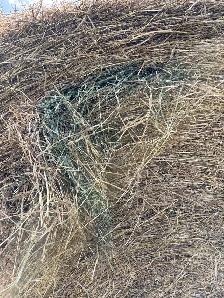 2026 Alfalfa/Grass Mix - Photo 3
