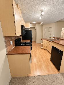 1 bedroom in terwilliger towne with U/G parking 1350 - Photo 3
